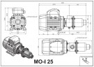 Schraubenpumpe zum Fördern dickflüssiger Medien LIVERANI MO-I 25 TF 0,25 kW, 1400 U/min, 380 V, Edelstahl