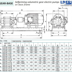 Zahnradpumpe für Fettförderung LIVERANI GEAR BASE 600-G TF 11 kW, 1400 U/min, 380 V