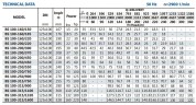 Konsolenpumpe für Kühlturm BSM 100-250/750 (240/78), 75kW, 2900
