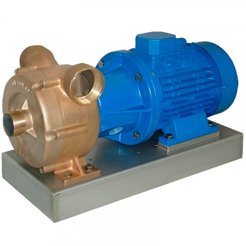 Flüssigkeitsringpumpe zum Entleeren von Bilgen LIVERANI EP 70, 500 l/min, TF/M 7,5 kW, 1400 U/min, 380 V, Bronze