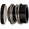 Gleitringdichtung für Pumpenwelle R-MG12 55, CAR/CER, VITON, 304, G60