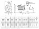 Zentrifugalpumpe BB300/110D, AISI304, 220V/50Hz, 2900