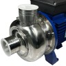 Zentrifugalpumpe BB300/110D, AISI304, 220V/50Hz, 2900