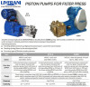 Doppeltwirkende Einkolbenpumpe POMPA S75-S Inox AISI 316 5 m³/h für Filterpressen