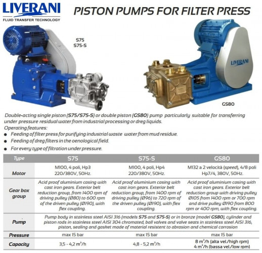 Doppeltwirkende Doppelkolbenpumpe POMPA GS80 aus Bronze 8-4 m³/h für Filterpressen