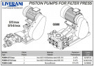 Doppeltwirkende Doppelkolbenpumpe POMPA GS80 aus Bronze 8-4 m³/h für Filterpressen