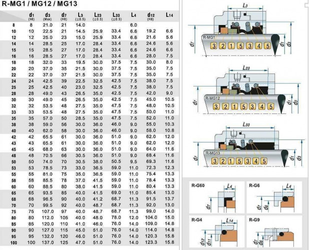 Gleitringdichtung R-MG12 55, SiC/SiC, Viton, 304, G60
