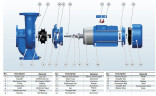 BT 80-360/11 In-Line Pumpe