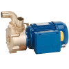 Wirbelpumpe zur Bilgenentleerung LIVERANI EP 25 + BY-PASS, 60 l/min, TF/I 0,56 kW, 2800 U/min, 380 V, Bronze