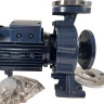 Pumpe für Heizöl BSTm 40-160/4, 3000