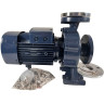 Pumpe für Heizöl BSTm 40-160/4, 3000