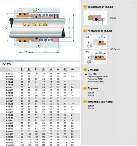 Wellendichtung für Pumpe R-125 25, SiC/SiC, Viton, 316, T20LF