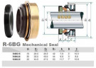 Gleitringdichtung für Motorpumpe R-6BG 20, SiC/SiC, NBR, 304