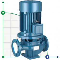 IRG BGL 100-250(I)B (100/65), 37kW, 2880 Pumpe zentrifugal vertikal