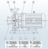 BGW 65-250B (21,6/60), 11kW, 2880 Horizontale Kreiselpumpe