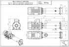 Schraubenpumpe zum Fördern von Lebensmitteln mit Feststoffanteilen LIVERANI MO-I 200/6 TF 2,2 kW, 900 U/min, 380 V aus Edelstahl
