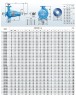 Freitragende Bewässerungspumpe BSM4 200-250/450 (500/21,3), 45 kW, 1450
