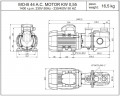 Bronzeschraubenpumpe für den Schiffssektor LIVERANI MO-B 44 TF 0,55 kW, 1400 U/min, 380 V