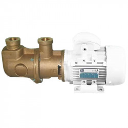 Bronzeschraubenpumpe zum Fördern viskoser und öliger Flüssigkeiten LIVERANI MO-B 44 MF 0,55 kW, 1400 U/min, 220 V
