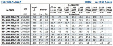 Konsolenpumpe für Kühlturm BSM4 200-315/550 (500/27,5), 55 kW, 1450