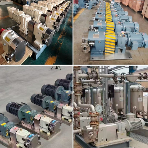 Nockenpumpe für viskose Flüssigkeiten CYB17.5-3Y, 20 m³/h, 0,6 MPa, 7,5 kW, 400 U/min, 380 V, 50 Hz, AISI 304, Ex, Klemmverbindung