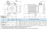 Vortexpumpe für Ölförderung LIVERANI EP MASTER 2, 230 l/min, TF/I, 1,87 kW, 1400 U/min, 380 V, AISI 316, Seal Cer.-Grafite-EPDM