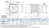 Vortexpumpe für Essigsäure LIVERANI EP NEOS 3/4 T MP + BY-PASS, 36 l/min, CC/24 V, 0,35 kW, 2800 U/min, AISI 316, Seal Cer.-Grafit-Viton