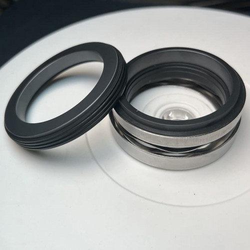 Gleitringdichtung für ABS-Pumpe, WILO R-1577 50, SIC/SIC, VITON, 304, G60