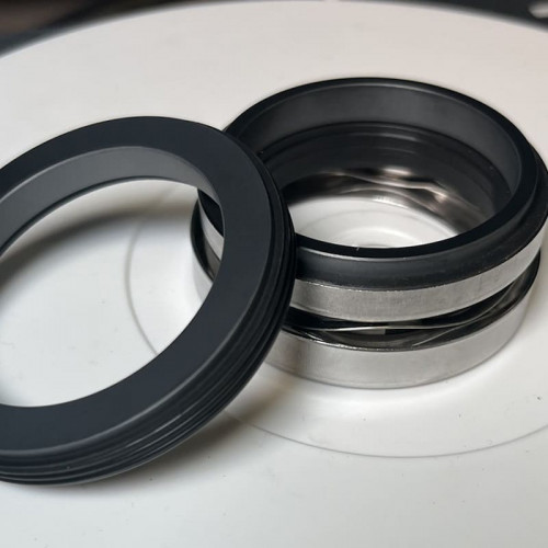 Gleitringdichtung für ABS-Pumpe, WILO R-1577 50, SIC/SIC, VITON, 304, G60
