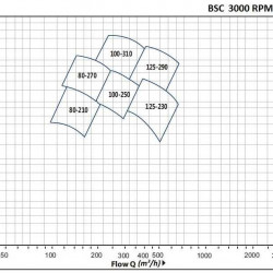 BSC 300-435A/B, (3000) Pumpe zweispaltige