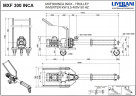 Edelstahl-Schraubenpumpe LIVERANI MXF300INCA TF 5,5 kW 115–430 U/min 380 V AISI 304 mit Frequenzumrichter, Fernbedienung (15 m), auf einem Fahrgestell