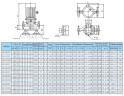 IRG 100-200 (І) Kreiselpumpe für Eiswasser