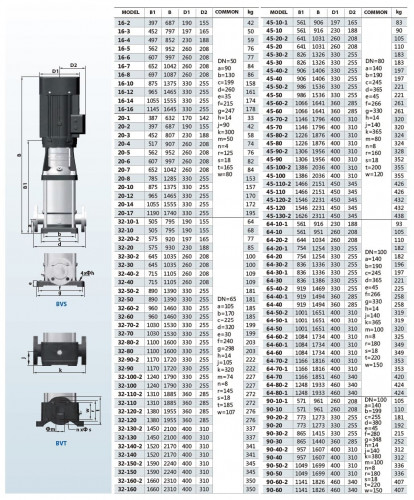 Mehrstufige Pumpe für Kessel BVS 45-70-2, 30 kW, AISI 304