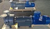 Vakuumpumpe 2BV6161 Ex (AISI 316), long frame