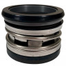 Gleitringdichtung für Pumpe R-2100K 32, CAR/SIC, VITON, 304