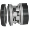 Gleitringdichtung für Pumpe R-2100K 43, CAR/SIC, VITON, 304