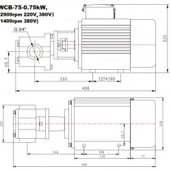 Edelstahl-Zahnradpumpe zum Pumpen von Benzin WCB-75/380V 50Hz, 75 l/min, 30 m, AISI 304, 0,75 kW, 2900 U/min, Ex