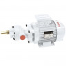 Zahnradpumpe für Ölförderung LIVERANI GEAR 2-G MF 0,11 kW, 1400 U/min, 220 V