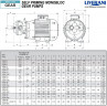 Zahnradpumpe für Ölförderung LIVERANI GEAR 2-G MF 0,11 kW, 1400 U/min, 220 V