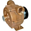 Flüssigkeitsringpumpe zum Entleeren von Bilgen, LIVERANI NAUTIC 70 FM 24V, 500 l/min, Bronze, ohne Motor