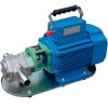 Edelstahl-Zahnradpumpe für Motoröl WCB-100/220V 50Hz, 50 l/min, 30 m, AISI 304, 1,1 kW, 1400 U/min, Ex