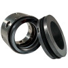 Gleitringdichtung für Pumpe R-8U 1 1/8, SiC/SiC, Viton, 304, WG