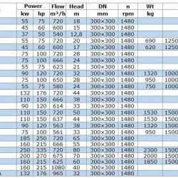 IRG BGL 300-500 (720/80), 250kW, 1480 Pumpe zentrifugal vertikal