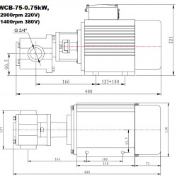 Edelstahl-Zahnradpumpe zum Pumpen von Pflanzenöl WCB-75/220V 50Hz, 75 l/min, 30 m, AISI 304, 0,75 kW, 2900 U/min, Ex