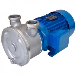 Vortexpumpe für Säuren LIVERANI EP 60 Inox 2, 350 l/min, TF/M, 4 kW, 1400 U/min, 380 V, AISI 316, Seal Cer.-Grafit-NBR
