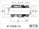 Gleitringdichtung für Grundfos-Pumpe R-706B 12, SiC/SiC, Viton, 304