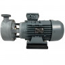 Kunststoffpumpe für Säuren DiaPump PA2220 PP, 2,2 kW, 3000 U/min, 220V
