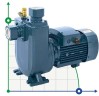 BXZm W15-25-1,5kW, 2900, 220V selbstansaugende Schmutzwasserpumpe