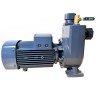 BXZm W15-25-1,5kW, 2900, 220V selbstansaugende Schmutzwasserpumpe