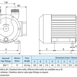 Vortexpumpe für Säuren LIVERANI EP 60 Inox 2, 350 l/min, TF/M, 4 kW, 1400 U/min, 380 V, AISI 316, Seal Cer.-Grafite-EPDM